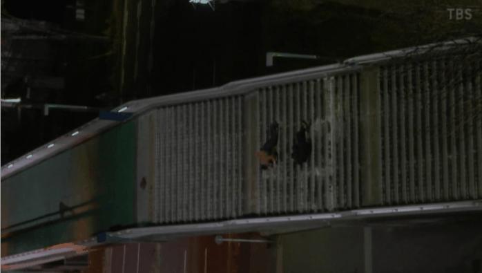 信息量超大!今年第一日剧,这神仙CP只是互相馋对方身子?