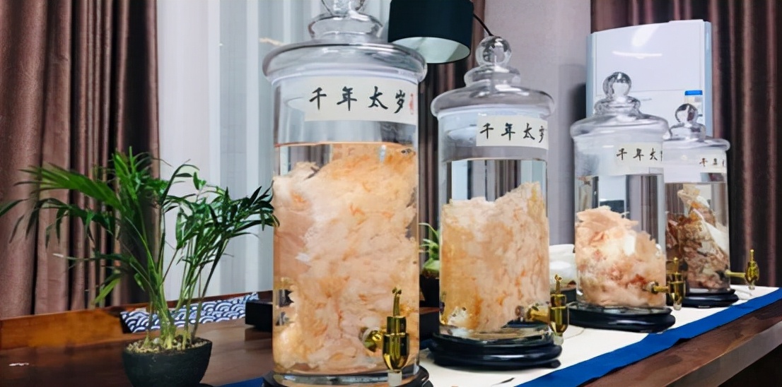 捡到200多斤的太岁能卖多少钱,1斤能卖150万的太岁