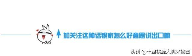 一季果园,桃园管理