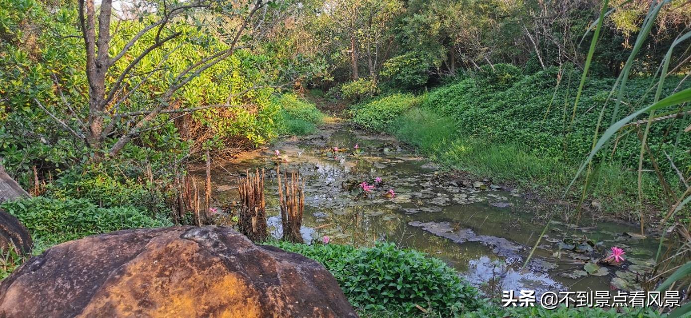 海口海甸岛白沙门公园夜景,海口旅游景点白沙门