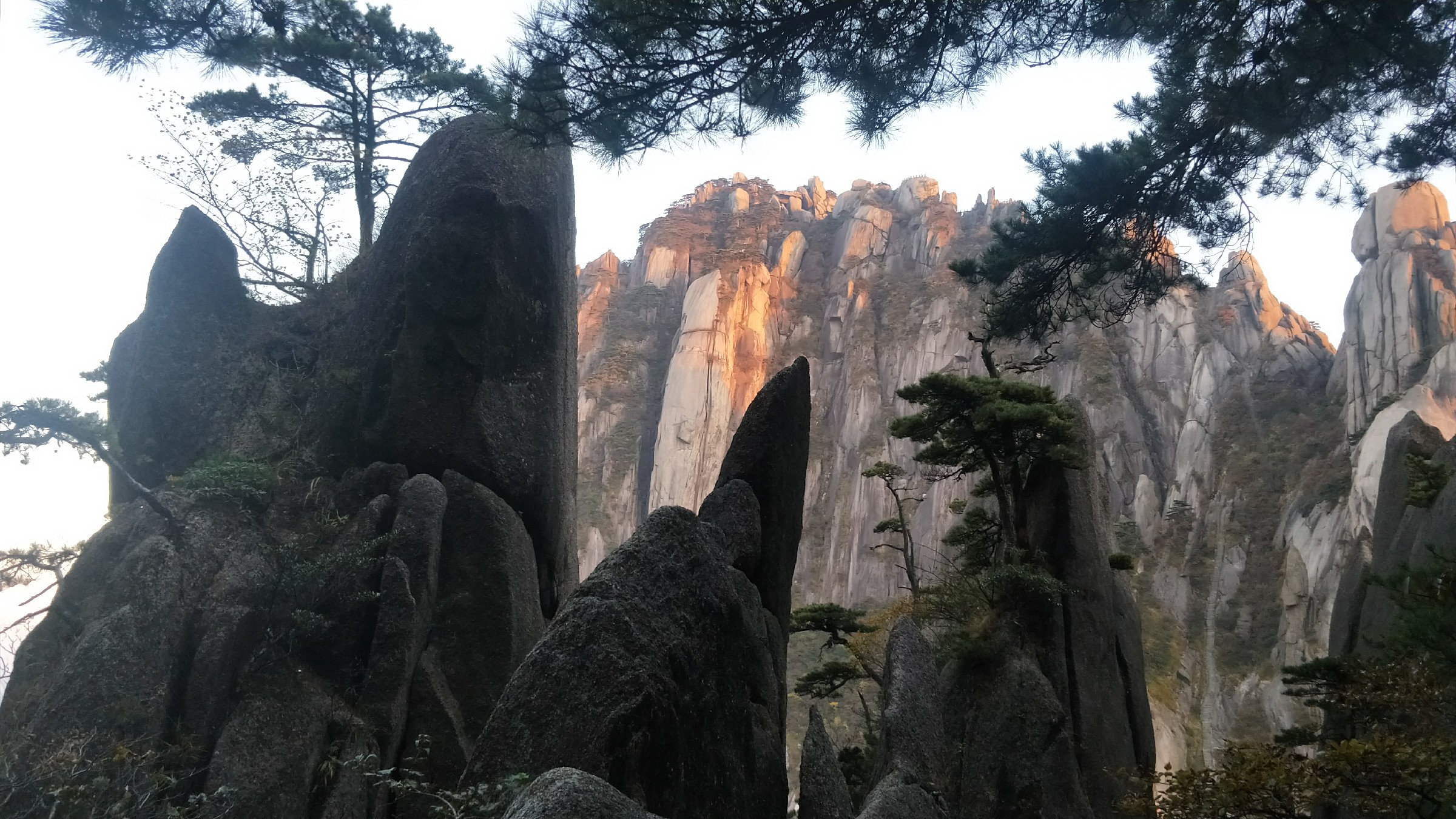 灏戝勾鏃剁殑姊︽兂榛勫北,瀛︾敓鏃朵唬姊︽兂