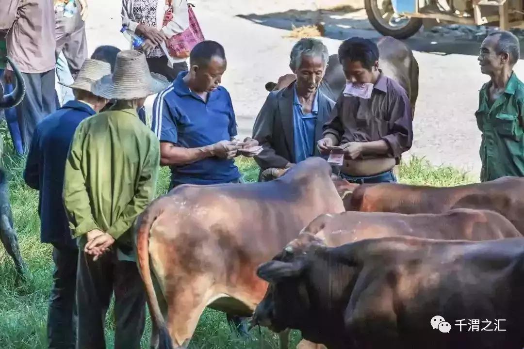 老虢镇,老薛的经纪人是谁