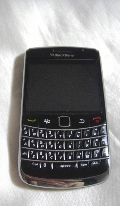 黑莓的一生,黑莓的一生简介