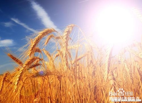 进口化妆品注册备案办理,进口化妆品备案怎么申请