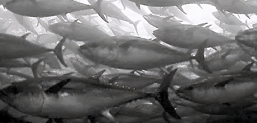 日本核废料对中国海鲜有影响吗,日本福岛核污水影响中国的海鲜吗