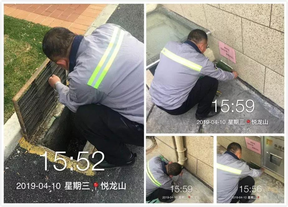 创城有我,创城有我秦皇岛