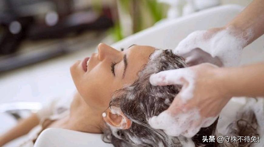 100个冷知识是什么,100万个冷知识