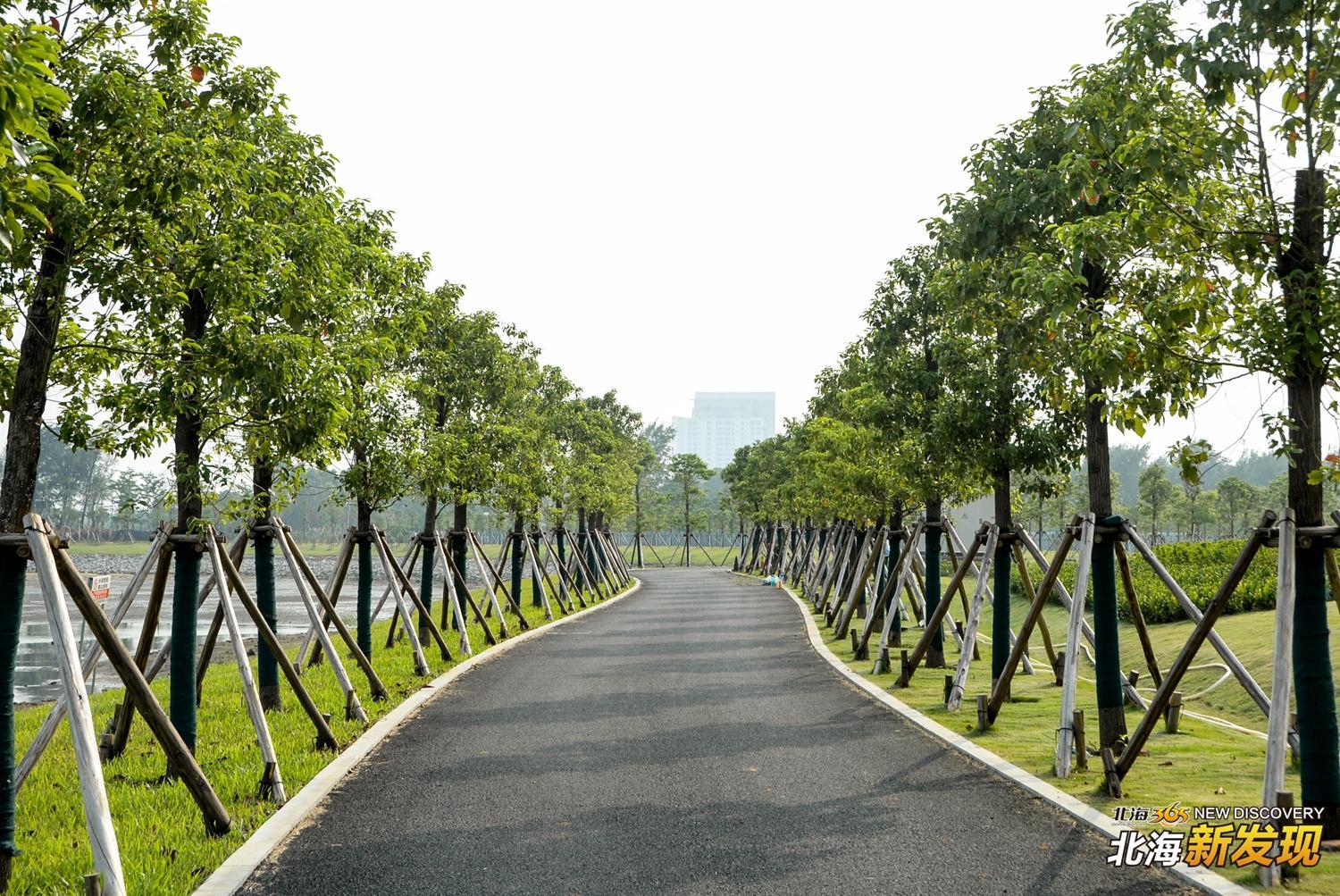 北海重大项目最新进展,北海未来十大工程