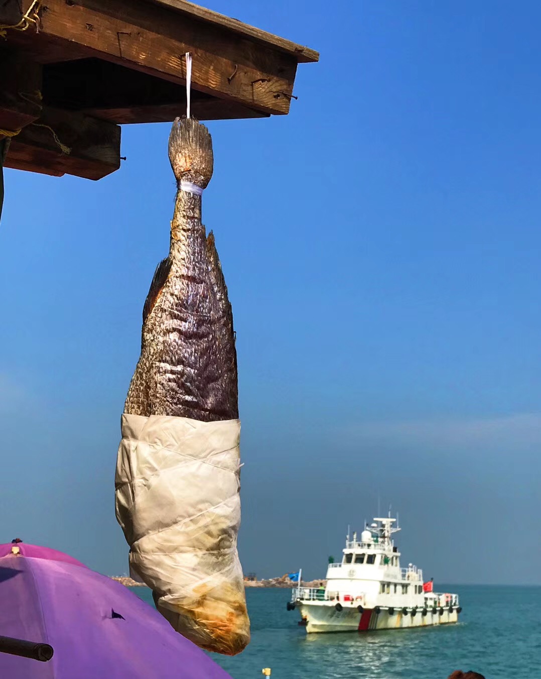 鐝犳捣妗傚北宀涙皯瀹夸环鏍艰〃,鐝犳捣娴峰矝娓告灞卞矝