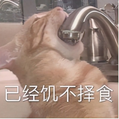 不能轻易谈恋爱的星座是,恋爱时最有骨气的三个星座