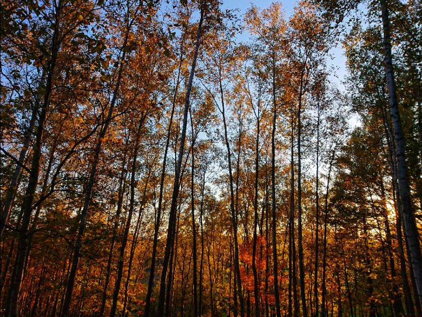 日本从南到北旅游路线,从南游到北