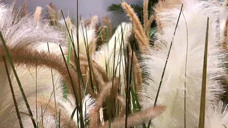 撩炸日韩少女心！风靡韩国的「花草系」咖啡店，韩国明星都爱去！