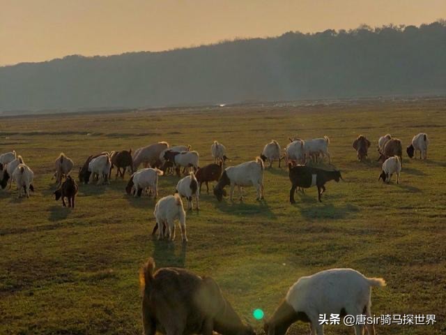 打卡南昌呼伦贝尔大草原,南昌呼伦贝尔草原行