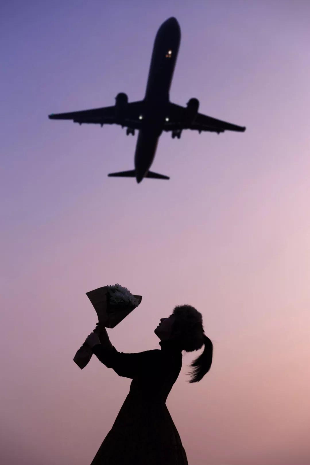 在空港花田里怎么拍照好看,每张都是屏保