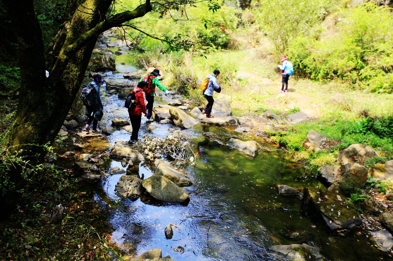 金秋野花沟在哪里,金秋野花沟照片