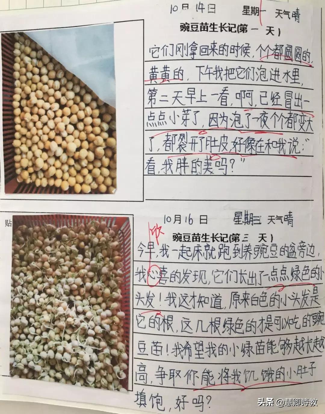 学霸笔记四年级知识点,四上语文第一单元知识点