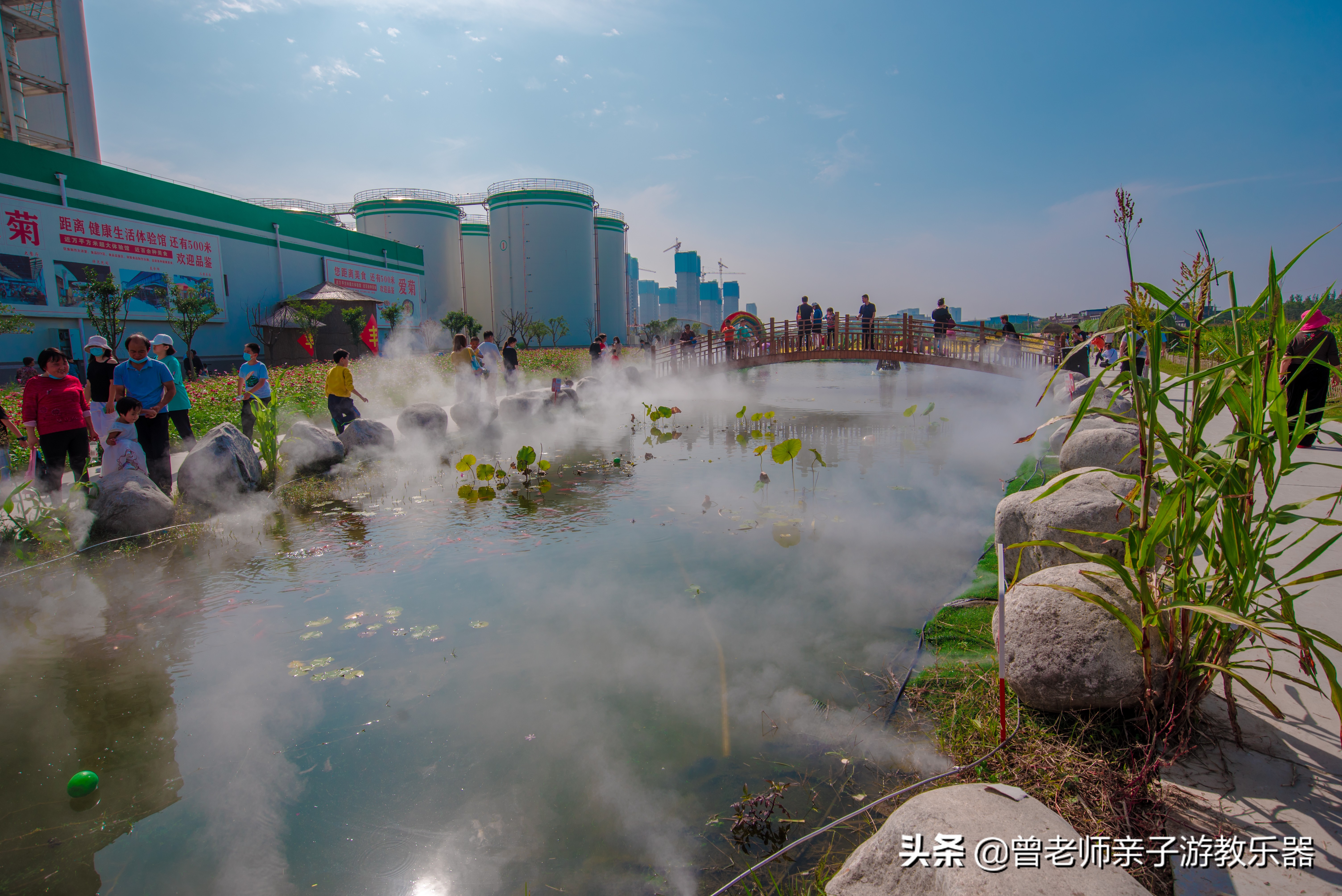 西安菊花节9.9元门票,爱菊菊花节怎么去