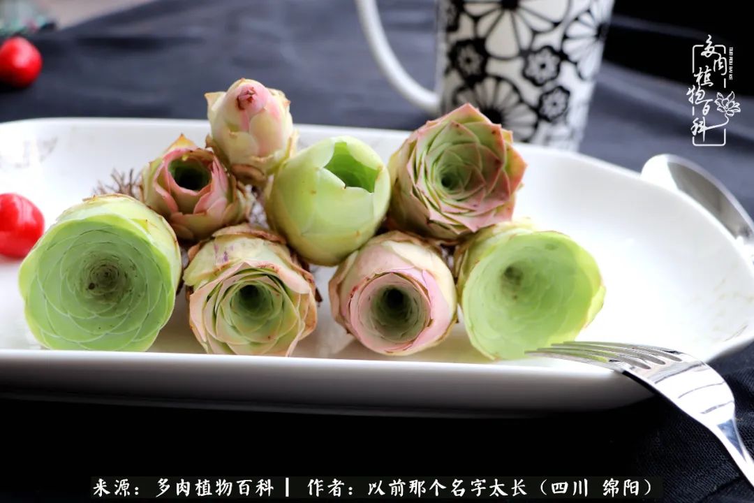 山地玫瑰夏天,山地玫瑰花怎么玩