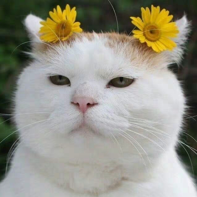 目前最新的华强北airpods,现在的华强北airpods缺点