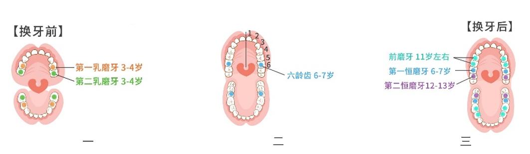 涂氟还是窝沟封闭,涂氟窝沟封闭有必要做吗