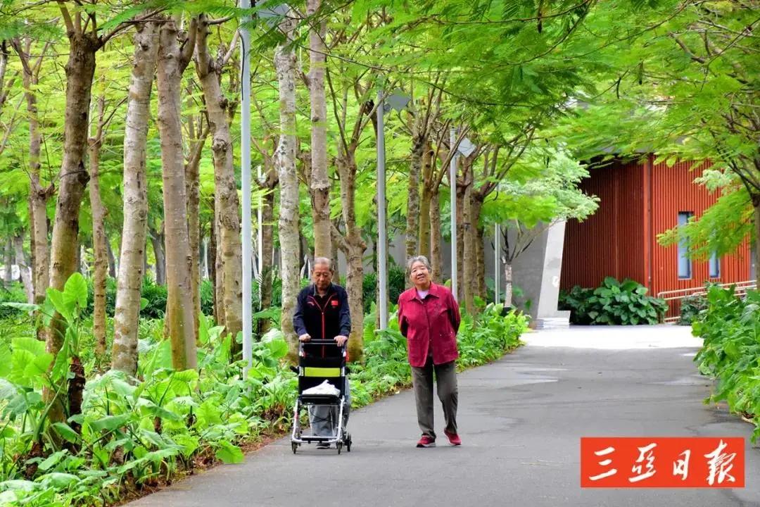 海南三亚最好的公园,三亚这些高颜值拍照圣地美翻了