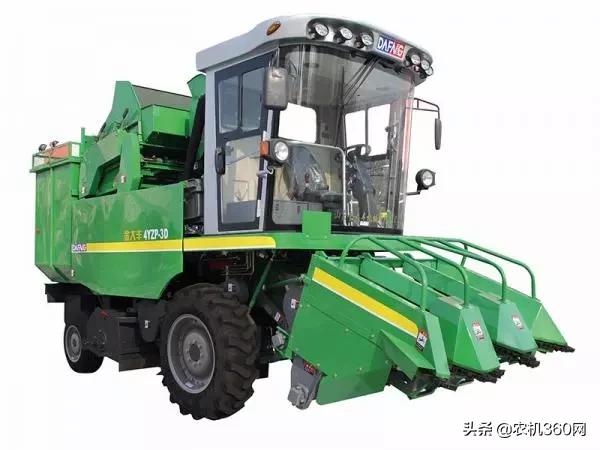 2023年鲜食玉米热销排行榜,2021年玉米双收排行