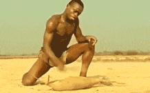 金毛搞笑表情图片伸手,金毛玩耍的动图搞笑