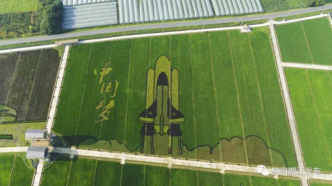 钱塘江画卷,钱塘江画作