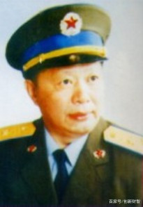 崇阳的将军,崇阳将军