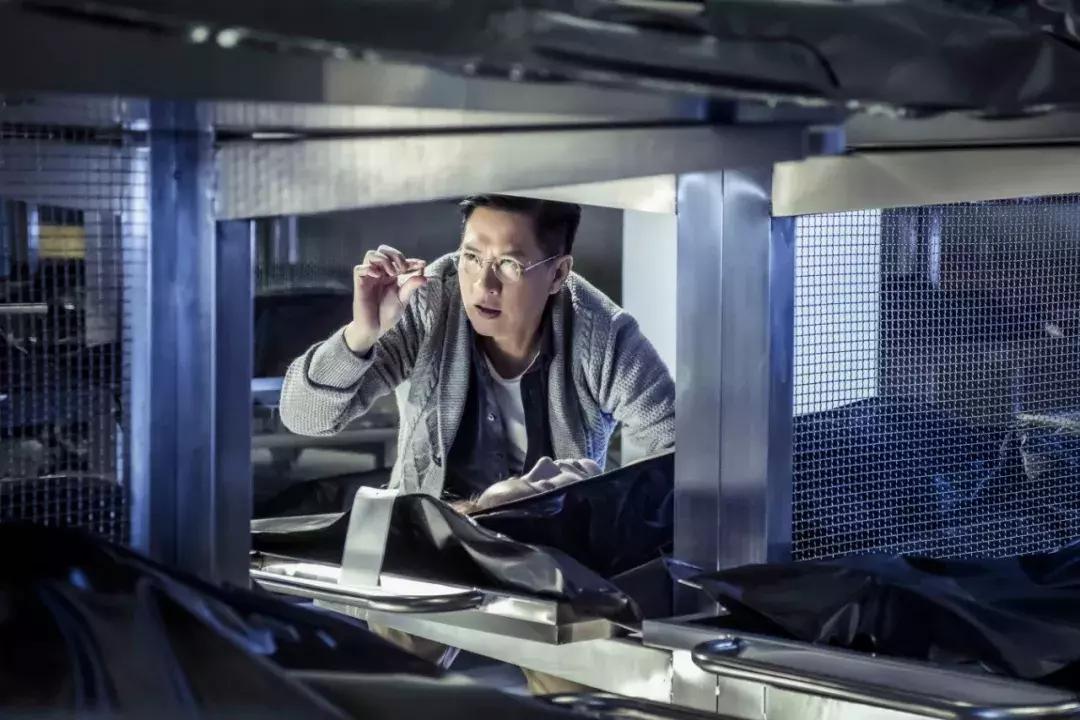 张家辉杨紫综艺节目视频,杨紫和张家辉演的电影叫什么名