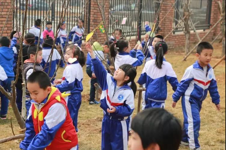 旅顺新闻旅顺新城实验学校,旅顺新区实验学校