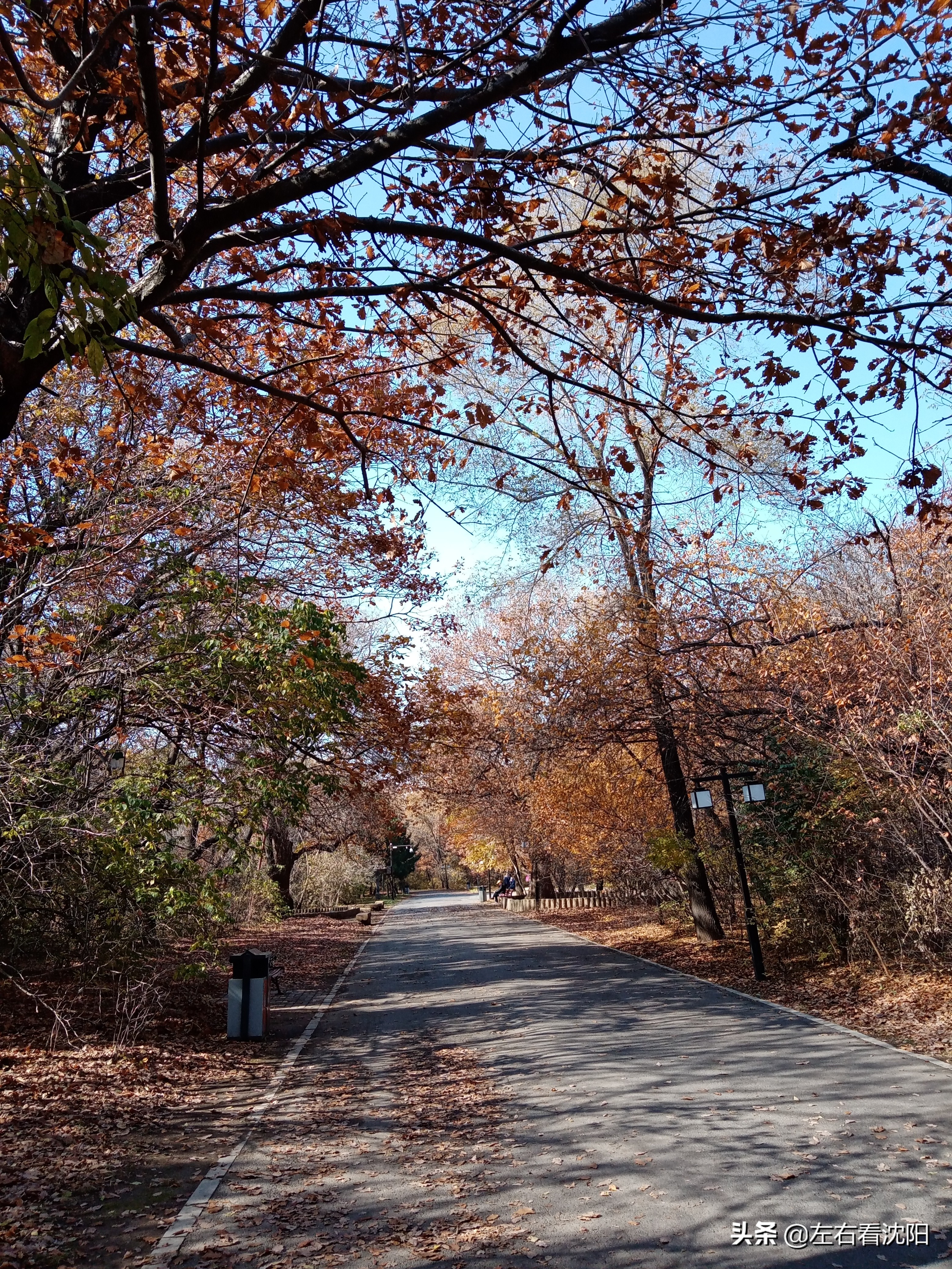 秋季沈阳北陵公园有啥好玩的,漫步沈阳北陵公园湖水边