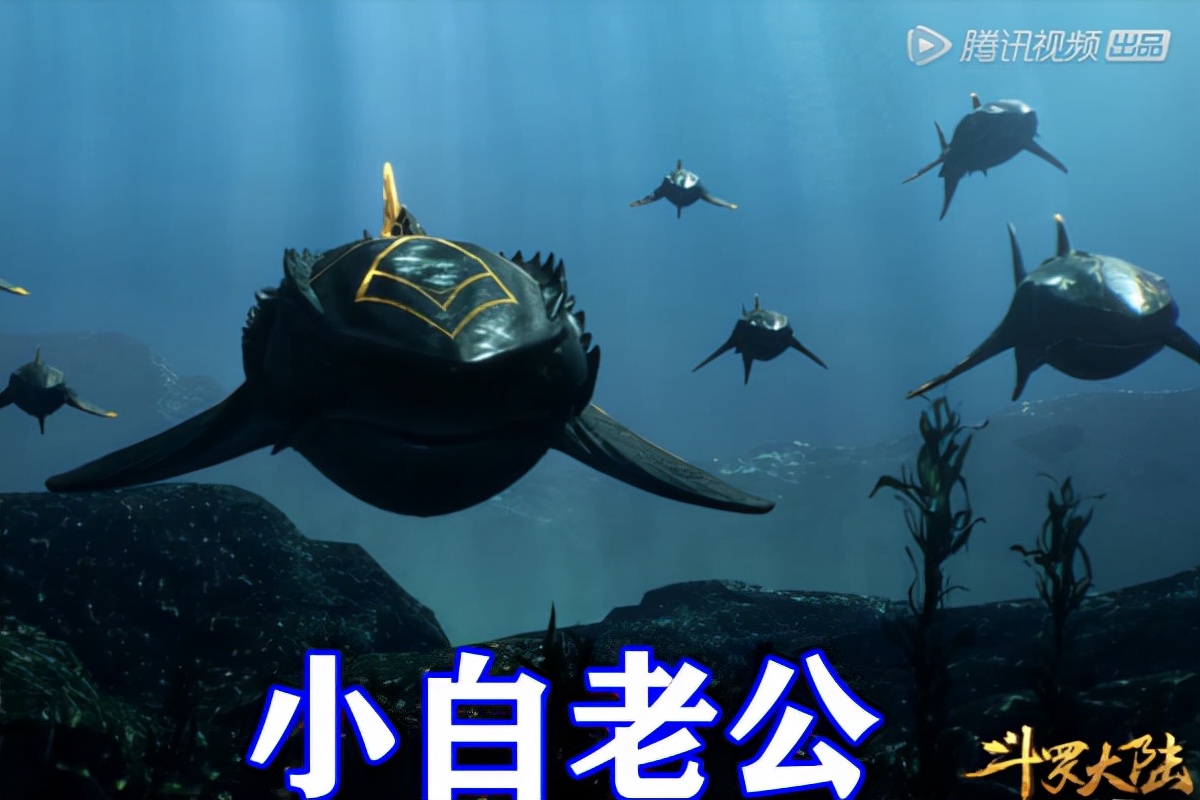 斗罗大陆魔魂鲨,斗罗大陆魔魂鲨小白的结局