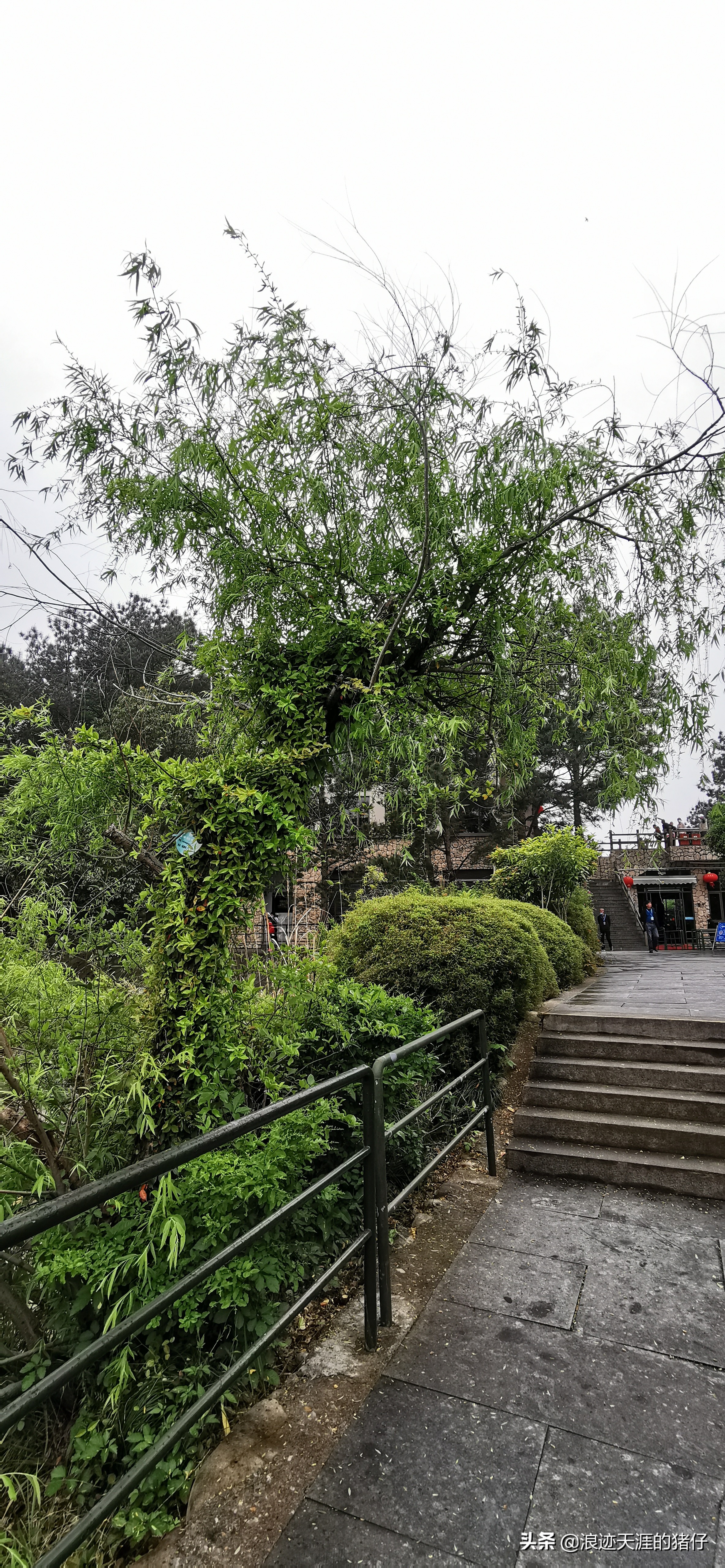 千岛湖疫情政策,千岛湖景区半价优惠