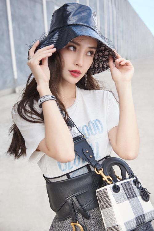 ladydior手袋翻盖设计,ladydior手袋