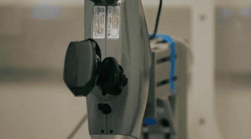 百万美金买的千年古籍实际才刚成年？现代打假技术太给力了