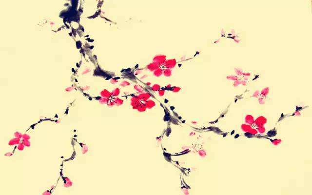 梅花易数的易数指的是什么,梅花易数心易阐微