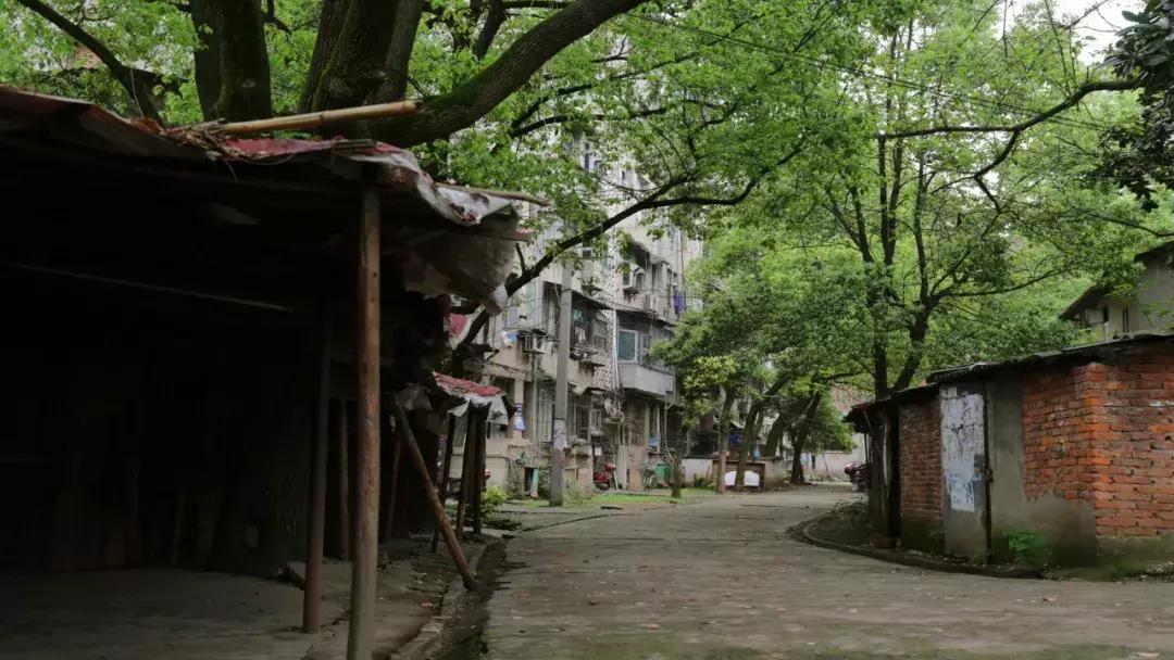 咸宁*毛老**巾厂的生活，几代人的青春