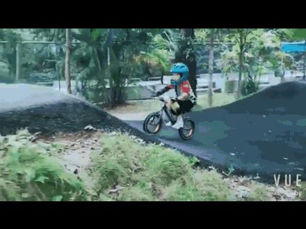 平衡车大摸底 (15款主流平衡车大摸底)