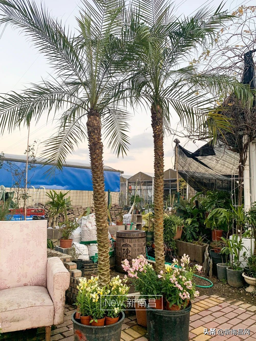 南昌花市有哪些地方,南昌花市批发市场