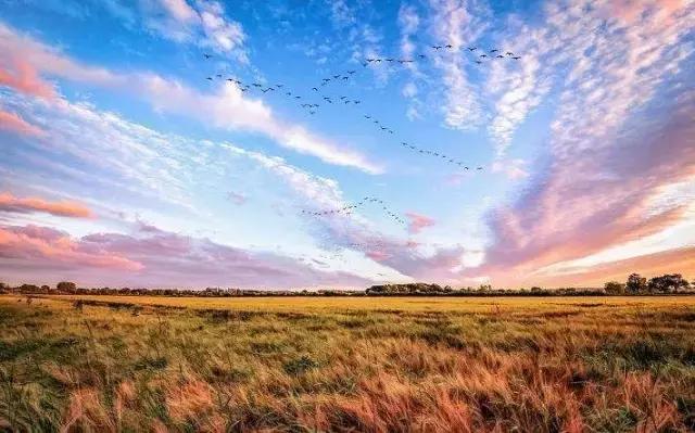 百川论道|晋惠帝
