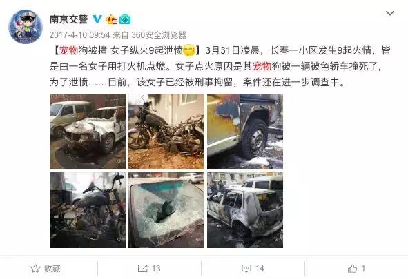 开车撞宠物狗保险赔吗,开车撞到狗没报警保险赔吗