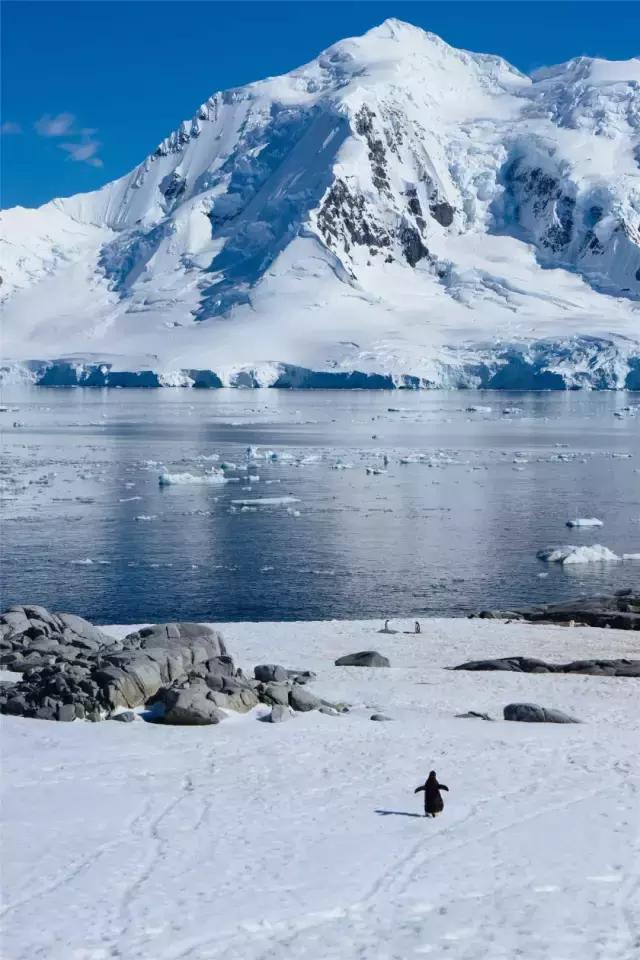 最省钱的特价机票,最划算的机票怎么选