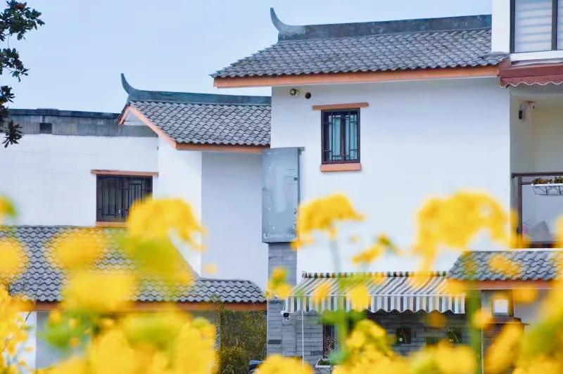 从贫困村到美丽乡村的华丽转身,崇州五星村国家示范乡村