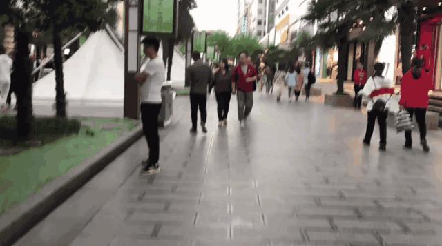 真实的骡马市,关于骡马市的记忆