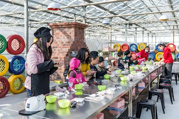 长三角城市群最佳旅游线路,长三角示范区旅游详细攻略