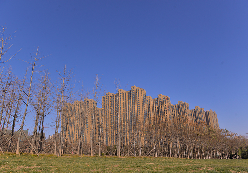 鍏夊奖鎽勫奖鐢熸椿鍦烘櫙,鍏夊奖鐢熸椿鎽勫奖浣滃搧娆h祻