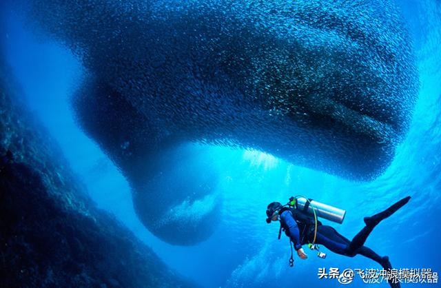 飞波与美娜多合作的项目预计在今年运营