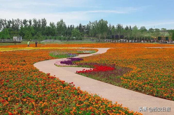 西安市有哪些公园免费开放,西安免费儿童玩的公园