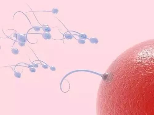 精子颜色辨别精子质量,三十秒教你自查精子质量